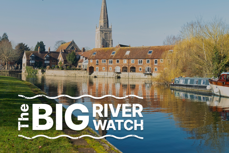 Big River Watch image